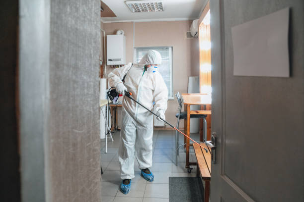 Best Dehumidification Services  in Polk City, IA