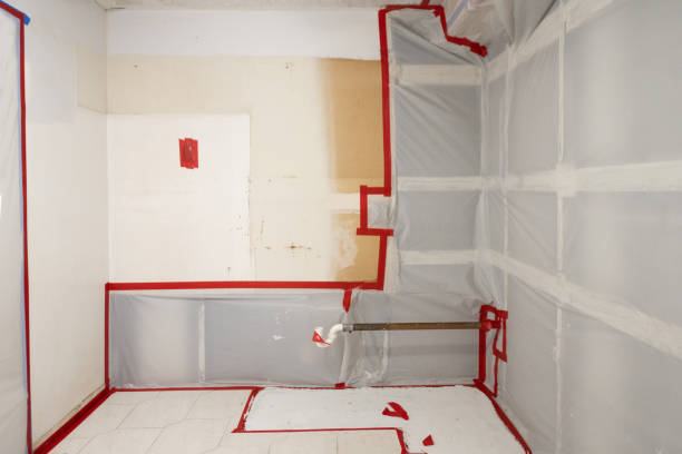Reliable Polk City, IA Mold Removal Solutions