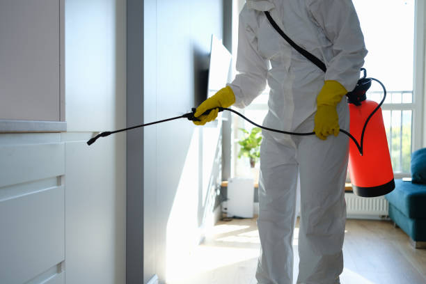 Best Comprehensive Air Testing for Mold Contaminants  in Polk City, IA