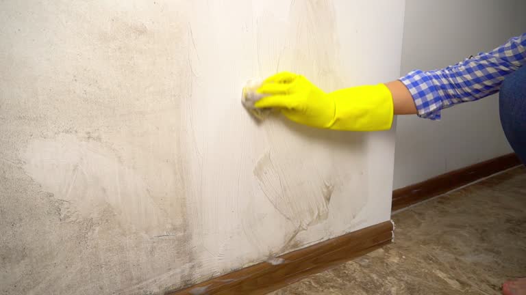 Best Water Damage & Mold Remediation  in Polk City, IA